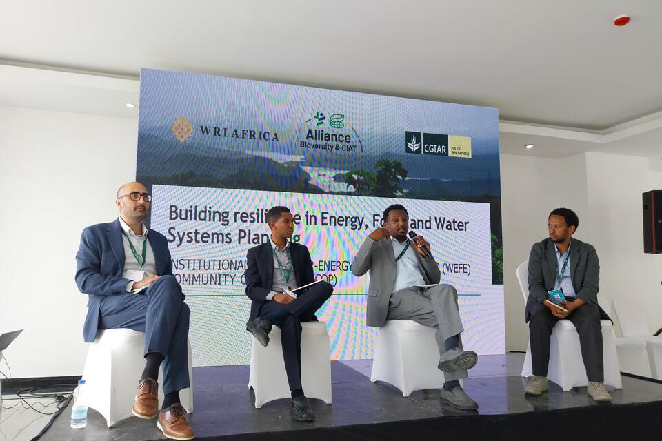 How integrated nexus planning could secure a resilient and sustainable future for Africa