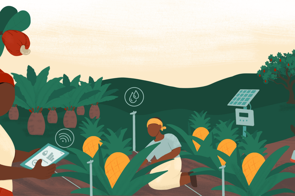 #WestAfricaAgriFoodChallenge: applications are open until July 3! 
