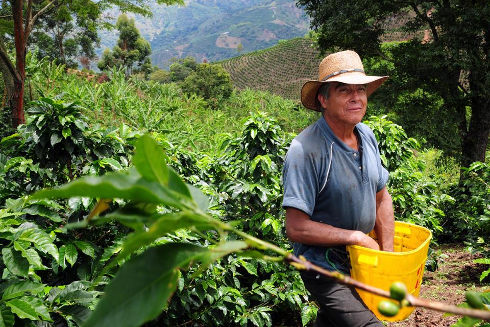 Aquí están los ganadores de proyectos innovadores que impulsarán el agro en Colombia, con el apoyo del Reino Unido