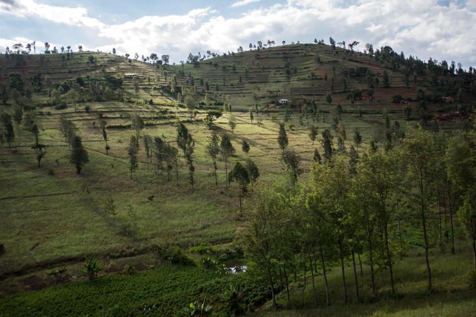 Exploit local-level opportunities for sustainable land management: Lessons from a multistakeholder platform in Tanzania