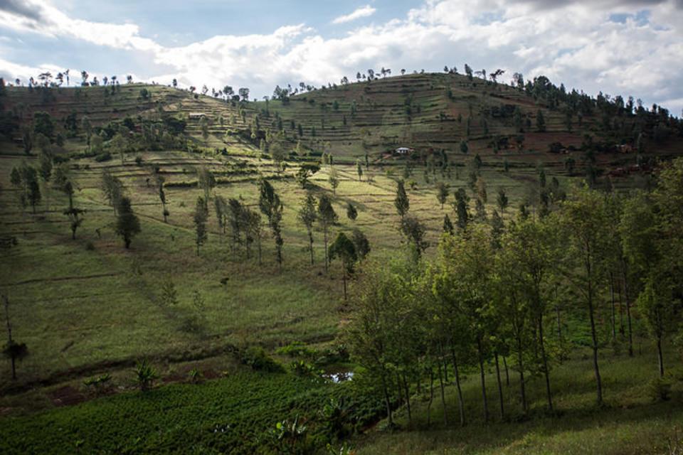 Paris climate agreement cannot be met without emissions reduction target for agriculture, new study suggests