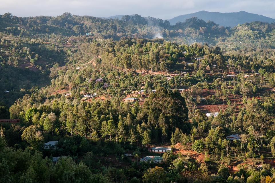 Projects and Flagship Initiatives; Tanzania - Alliance Bioversity International - CIAT