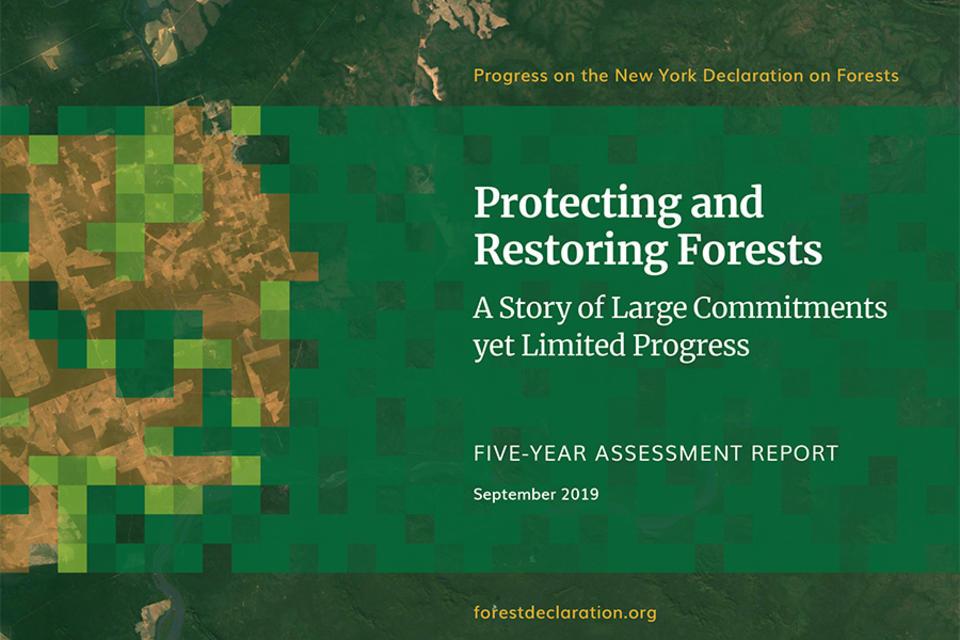 Reporte sobre los avances de las 10 metas de la Declaración de Nueva York sobre los Bosques