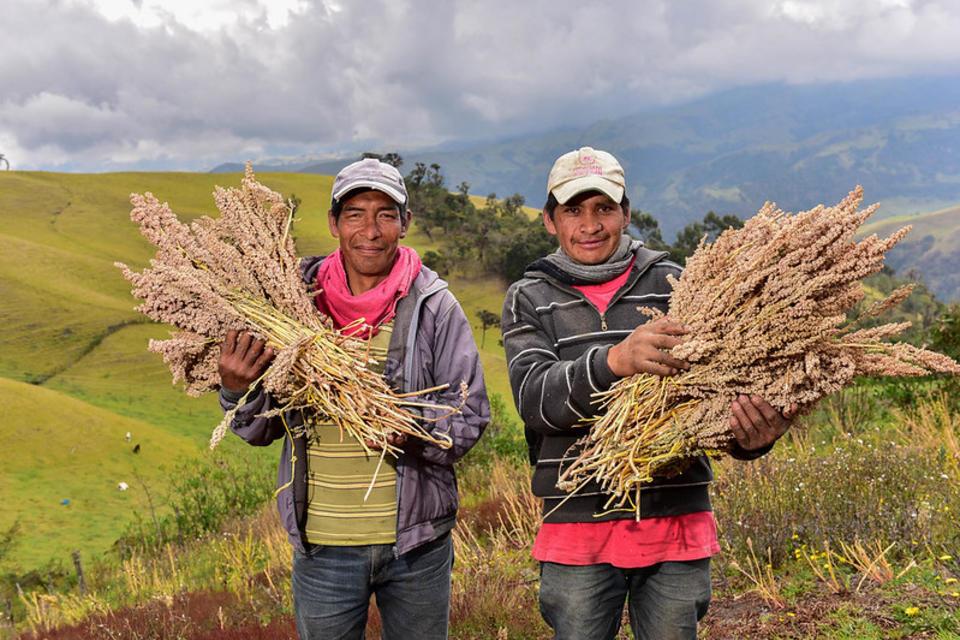 Boyac&aacute;: Seguridad alimentaria en tiempos de COVID-19