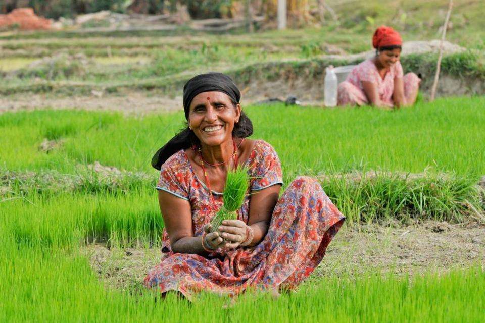 CIAT and ICAR expand partnership addressing challenges to South Asian agriculture