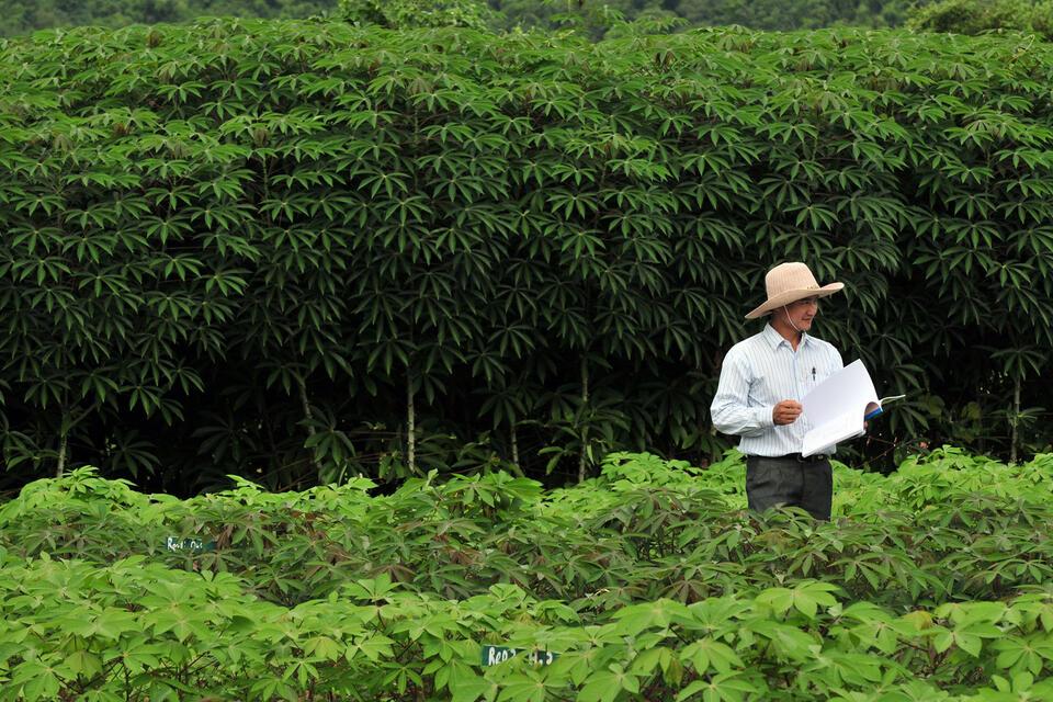 Laos - Alliance Bioversity International - CIAT