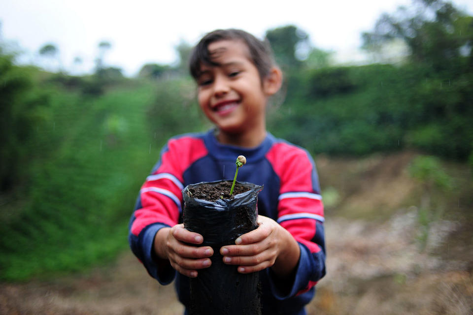 El proyecto Climate Smart Coffee est&aacute; por iniciar en Guatemala y Honduras