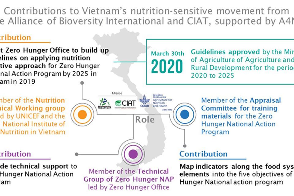 Update: Food systems for healthier diets A4NH contributions to the nutrition sensitive movement in Vietnam continue