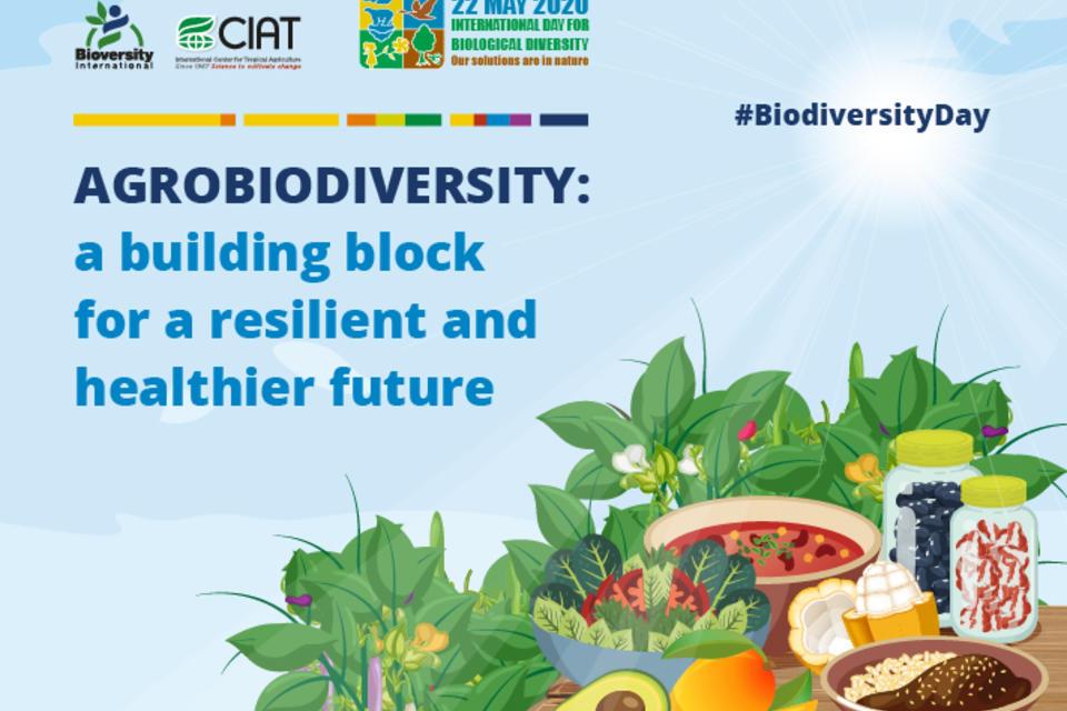 Biodiversity: a building block for a healthier future