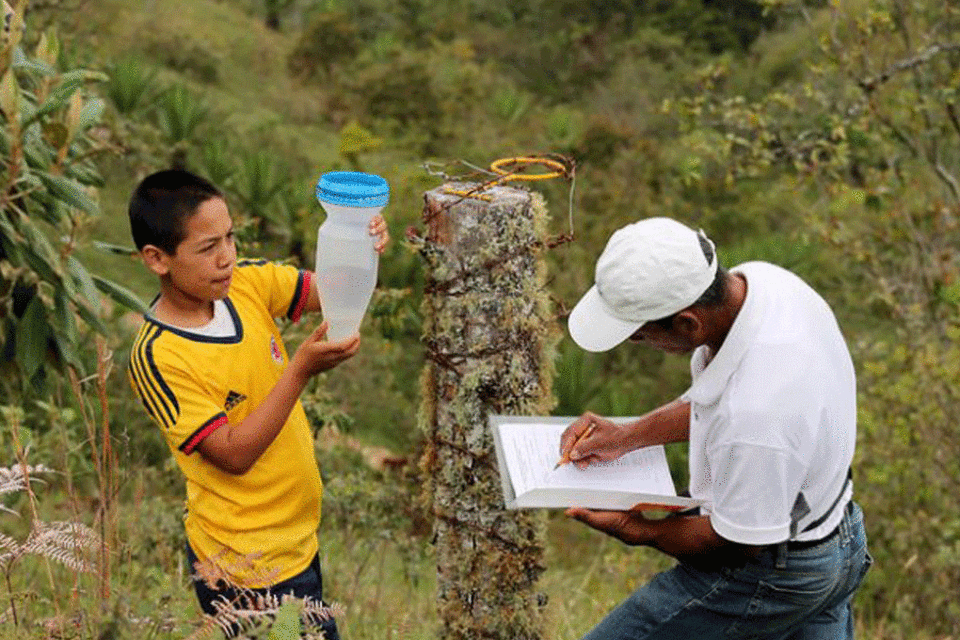 Taller sobre oportunidades de Agricultura Clim&aacute;ticamente Inteligente para Belice