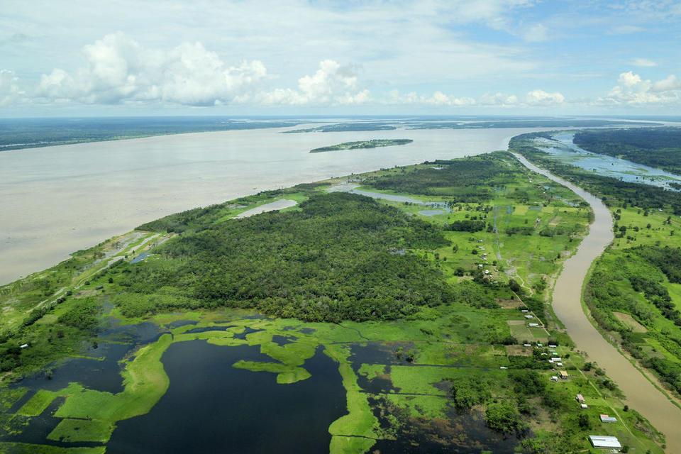 Opinion: We can do better to achieve zero deforestation and low-carbon development | Devex