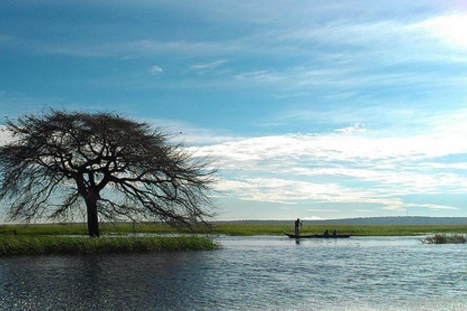 Assessing agricultural biodiversity in Borotse floodplain, Zambia