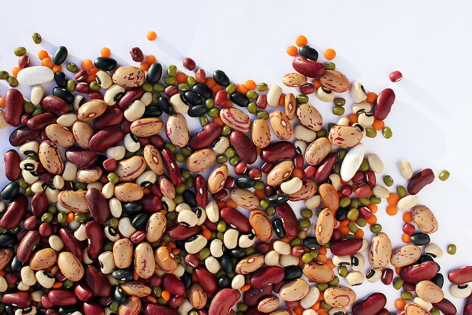 African researchers of beans, the superfood of the future, win Al-Sumait Prize