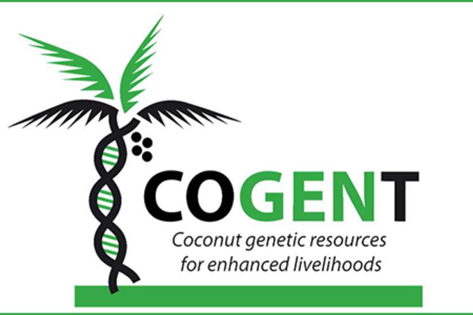 Important steps towards a global strategy for coconut conservation and use