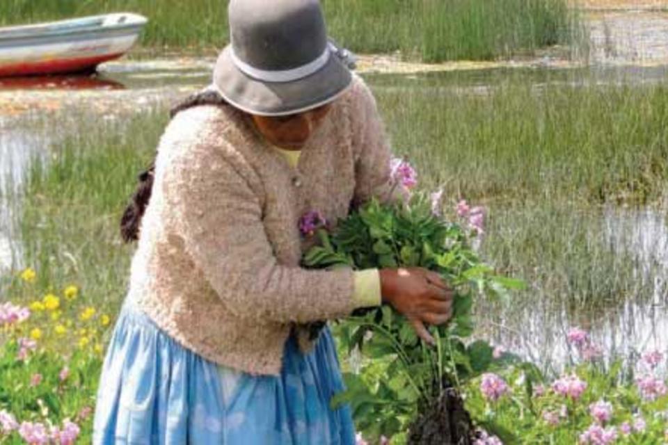 Bolivia leads the way in recognizing farmers as custodians of biodiversity