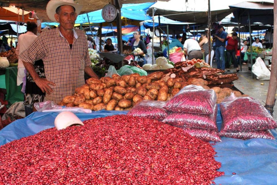 &iquest;Qu&eacute; pueden aprender Cali, Quito y Medell&iacute;n de sus sistemas alimentarios?