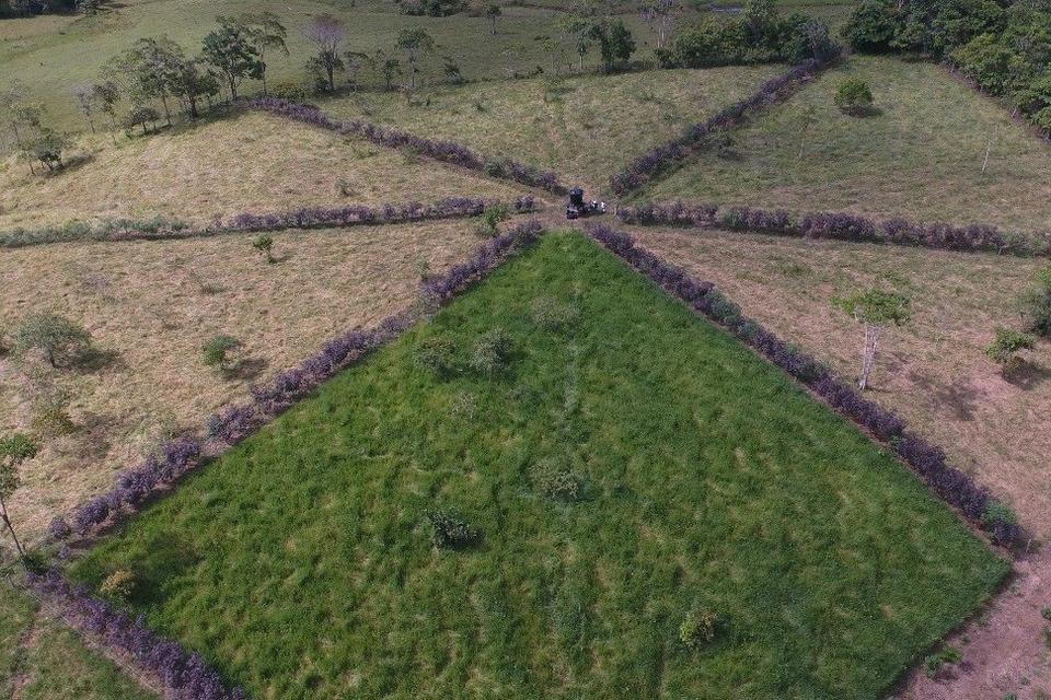 Sistemas agrosilvopastoriles, una alternativa para la intensificaci&oacute;n ecol&oacute;gica y la sostenibilidad de la ganader&iacute;a en Caquet&aacute;