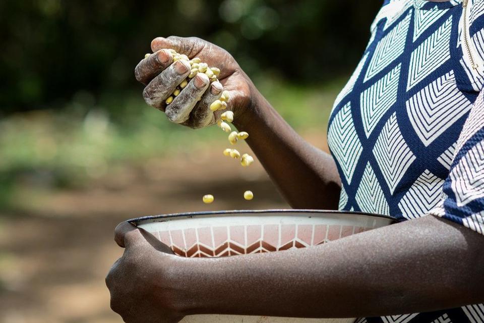 Solving hunger and malnutrition in Africa requires business, governments, social justice