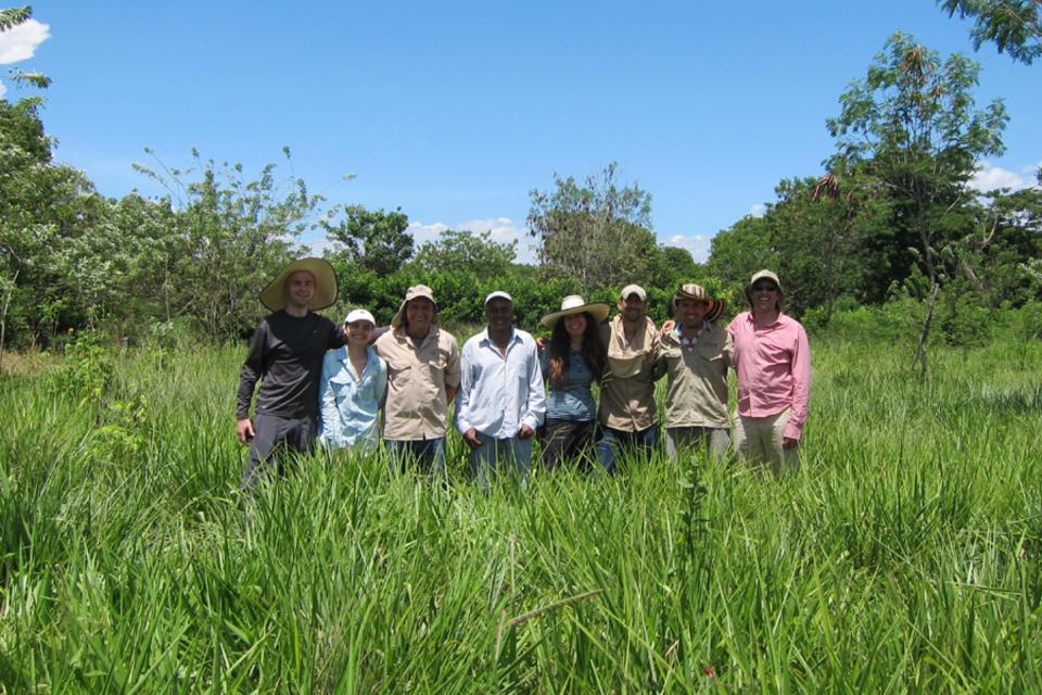 Forage technologies to reduce the environmental impact of Colombian livestock production