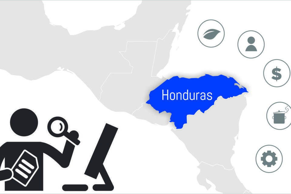 Honduras's Food System Profile - Call for visiting researcher 2020 -