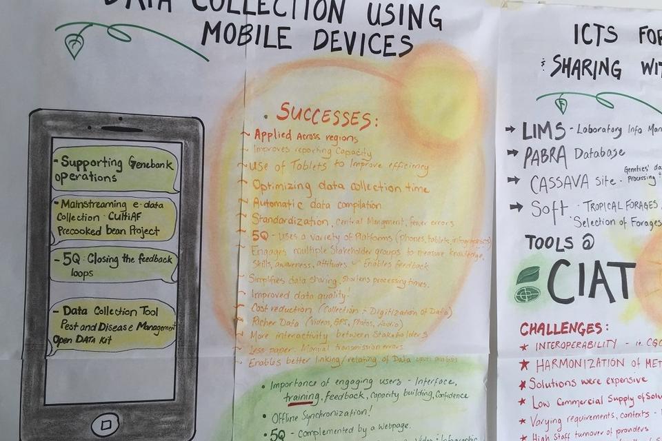 Graphic recording at CIAT&rsquo;s internal ICT4D conference