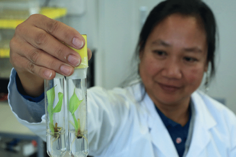 Celebrating women in science