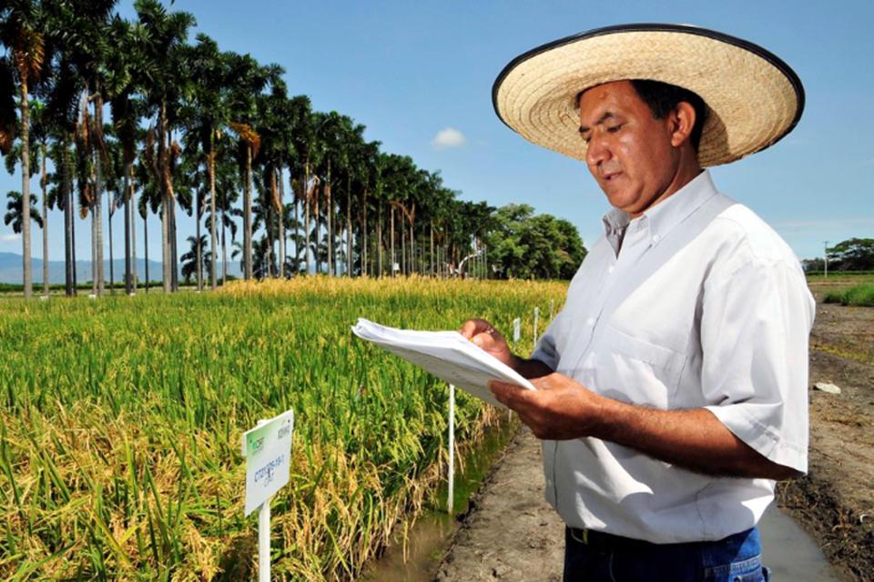 El CIAT capacitó a arroceros nicaragüenses en manejo de software para minería de datos
