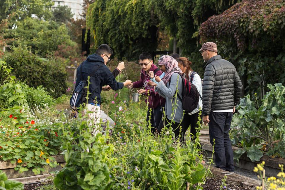 To save biodiversity and feed the future, first cure “plant blindness”