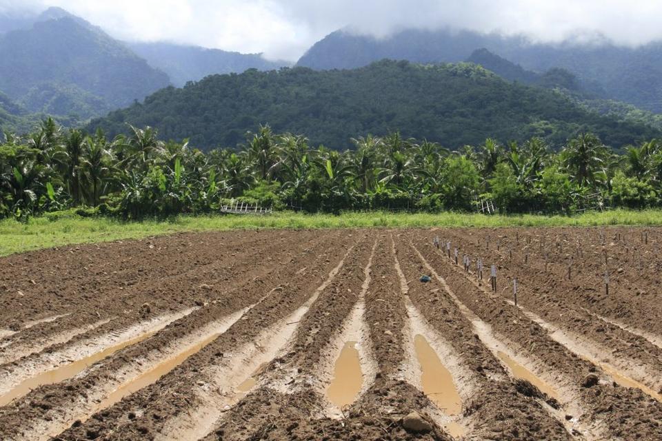 Asia-Pacific countries identify priority action to build resilience of agriculture to natural disasters