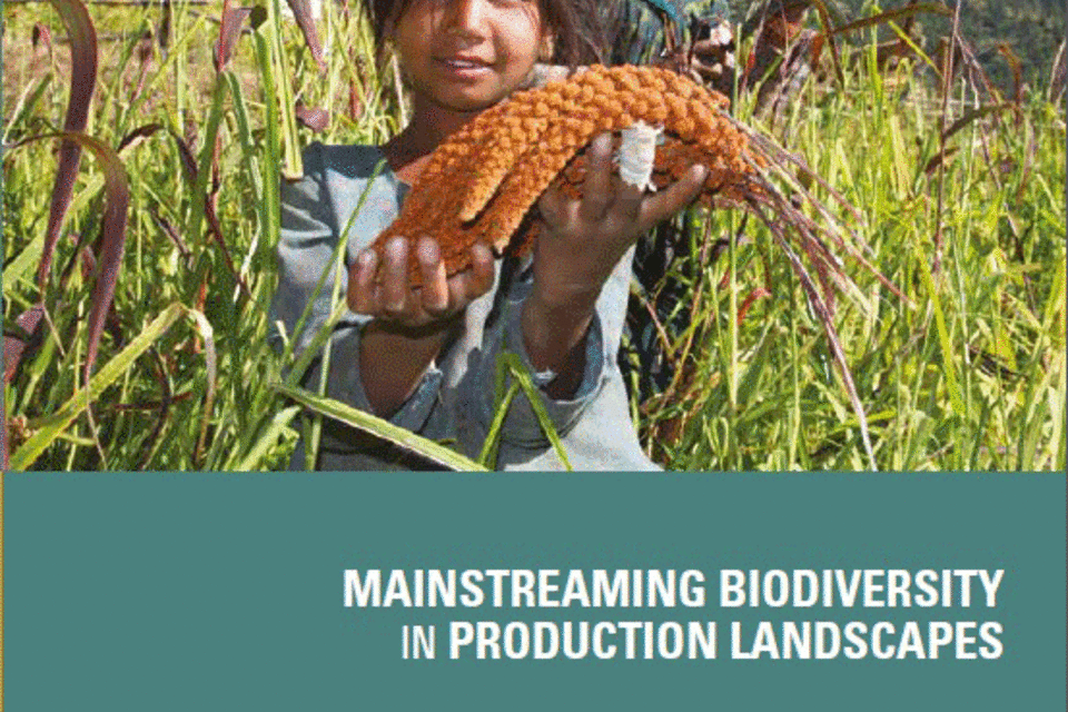 Mainstreaming Biodiversity in Production Landscapes