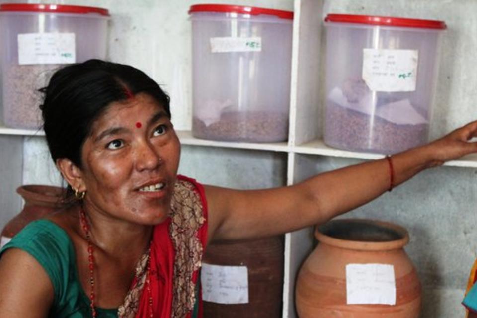 Crowdsourcing Nepal's seeds