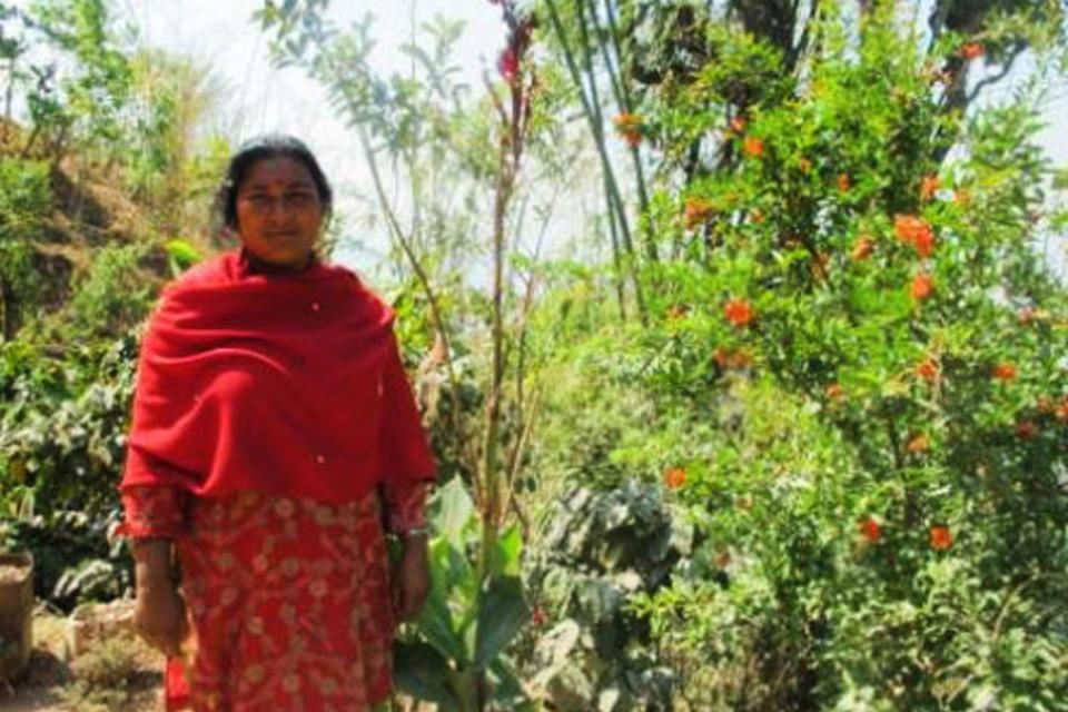 Evolution of gender relations among Nepalese farmers