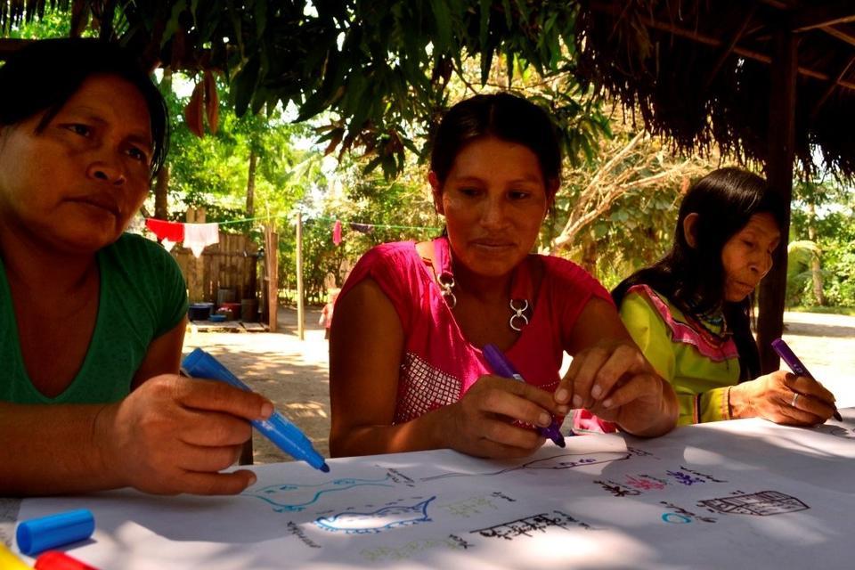 Finalization of ASSETS&rsquo; fieldwork activities in the Amazon