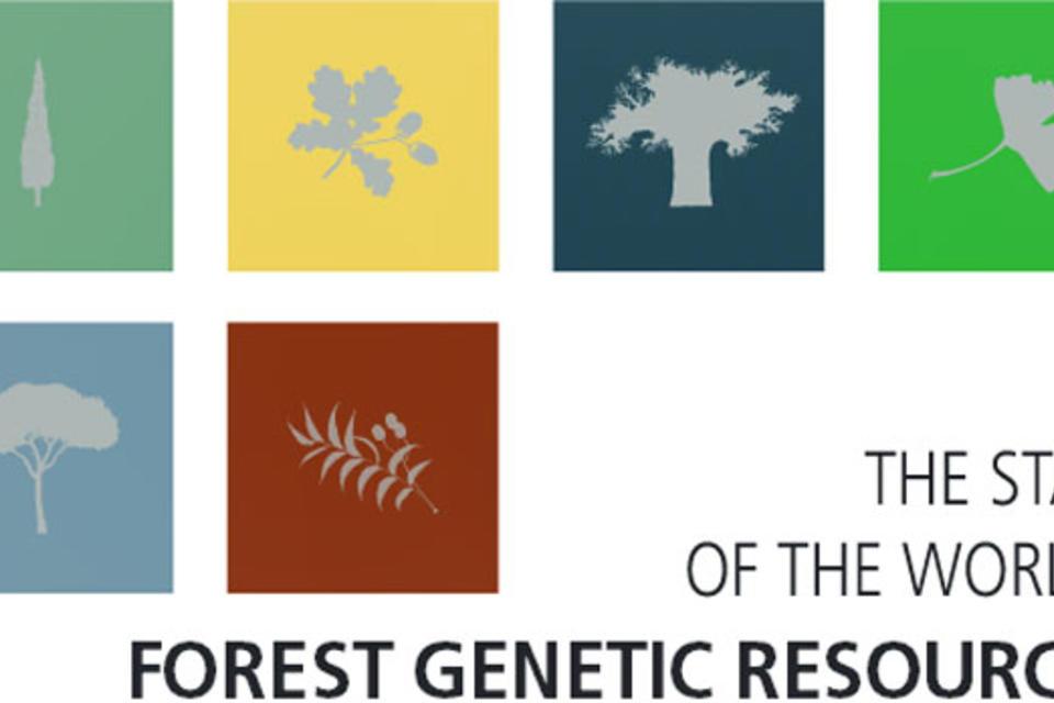 Action needed to safeguard genetic diversity of the world's forests