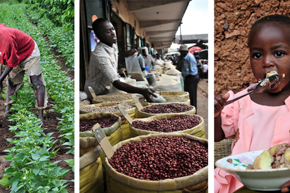 CIAT work on nutrition sensitive value chains in East Africa showcased at FAO in Rome