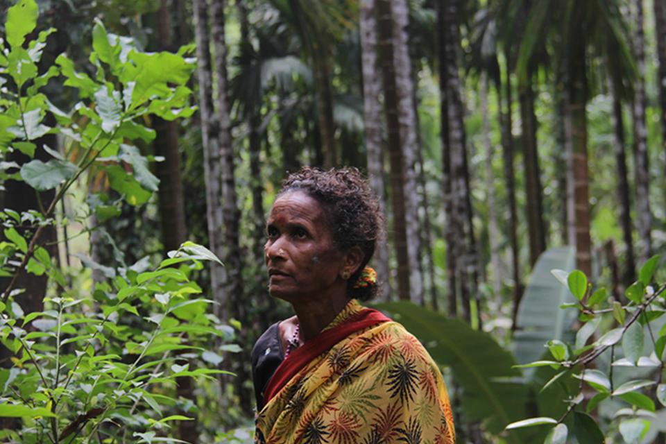 Why gender matters in forest restoration
