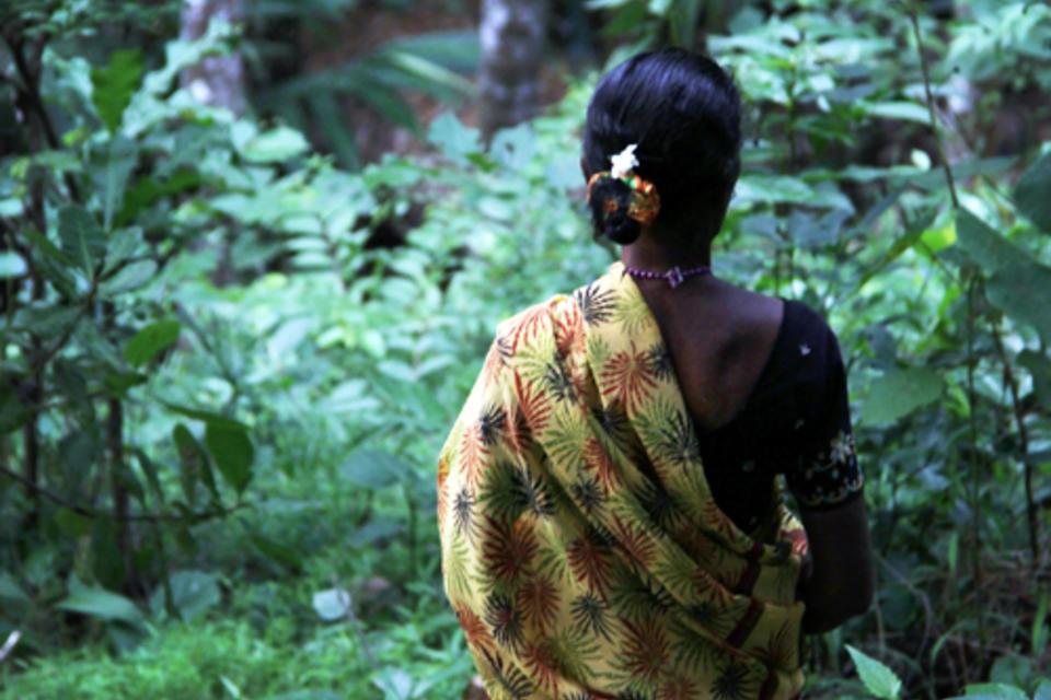 Through the lens: women from the Western Ghats forest