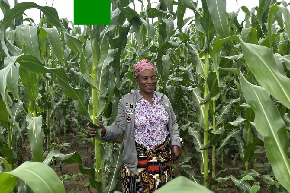 A lead farmer driving change Zena&rsquo;s regenerative agriculture success in Tanzania  - Alliance Bioversity International - CIAT