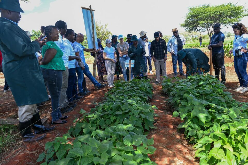 A school meal begins long before it reaches the plate - Image 1