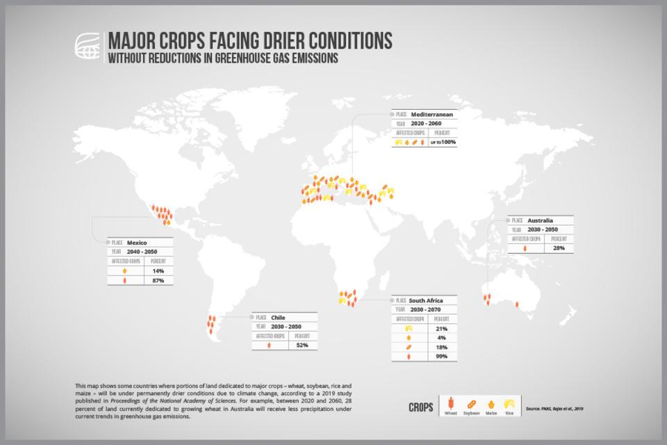 Dramatic rainfall changes for key crops expected even with reduced greenhouse gas emissions