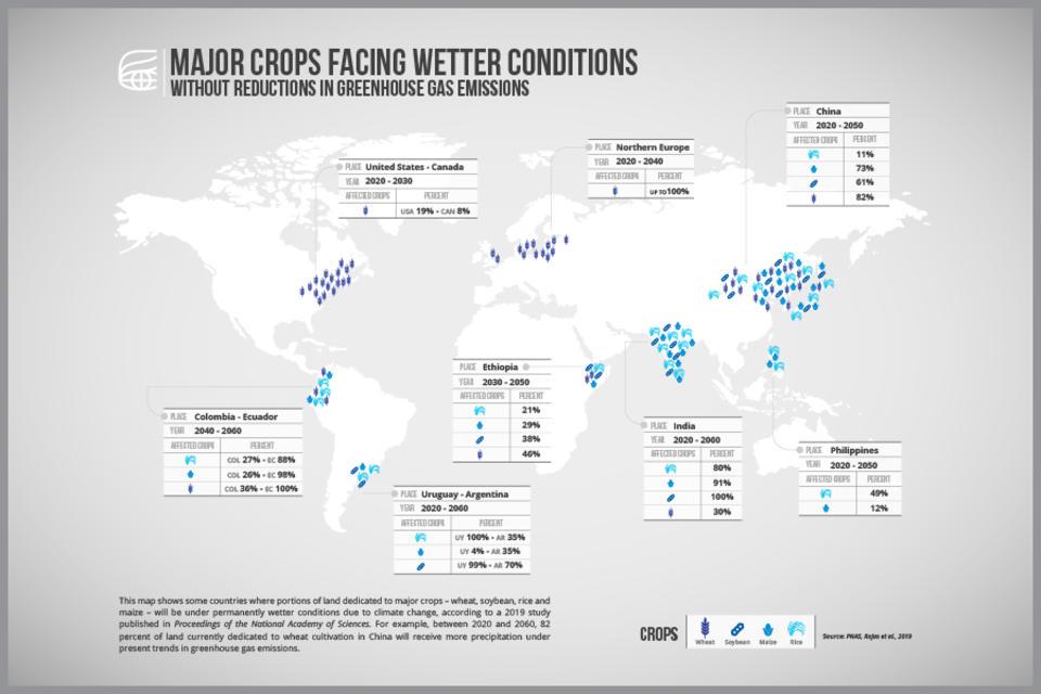 Se prevén cambios dramáticos en lluvias para cultivos claves incluso con menos emisiones de gases de efecto invernadero