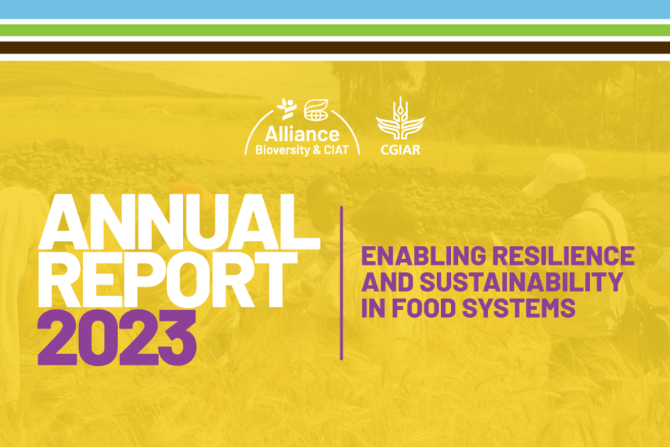 Annual Report 2023 - Alliance Bioversity International - CIAT