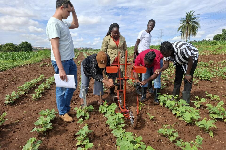 Artificial Intelligence meets Agriculture - Annual Report 2025 - Alliance Bioversity International - CIAT