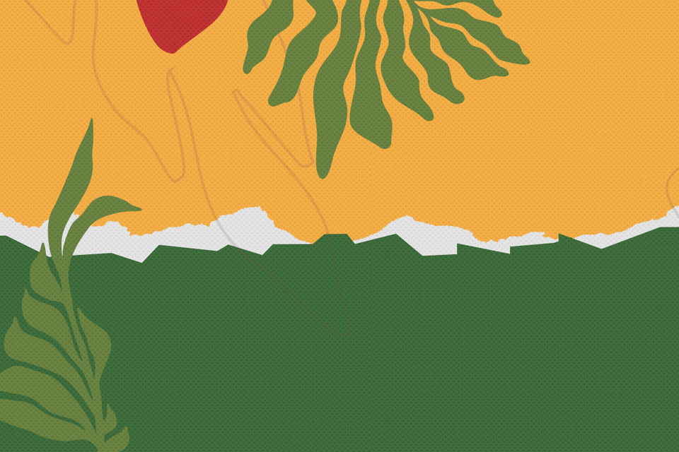 The Alliance at COP30