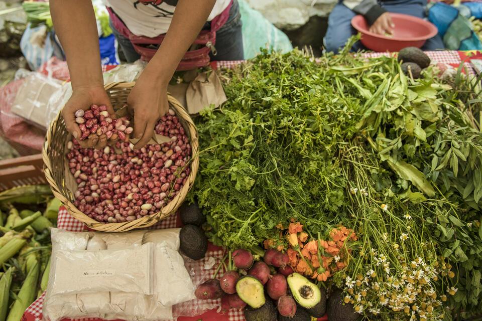 Beyond the protein obsession -  Building sustainable food systems for people and planet