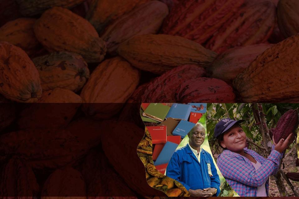 Cacao Of Excellence 2023 Award Winners Revealed - Alliance Bioversity International - CIAT