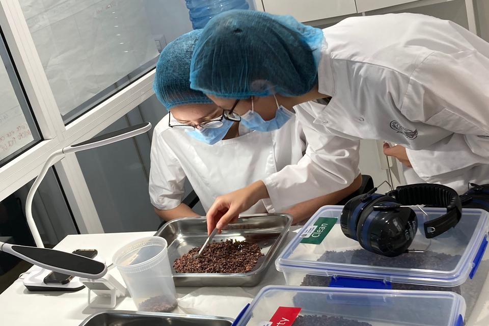 Cacao of Excellence - Alliance Bioversity International - CIAT