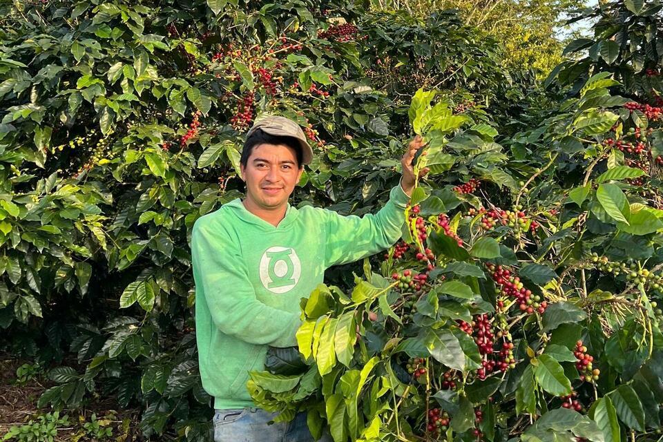 Climate Resilience Platform guides food industry sourcing - Annual Report 2025 - Alliance Bioversity International - CIAT