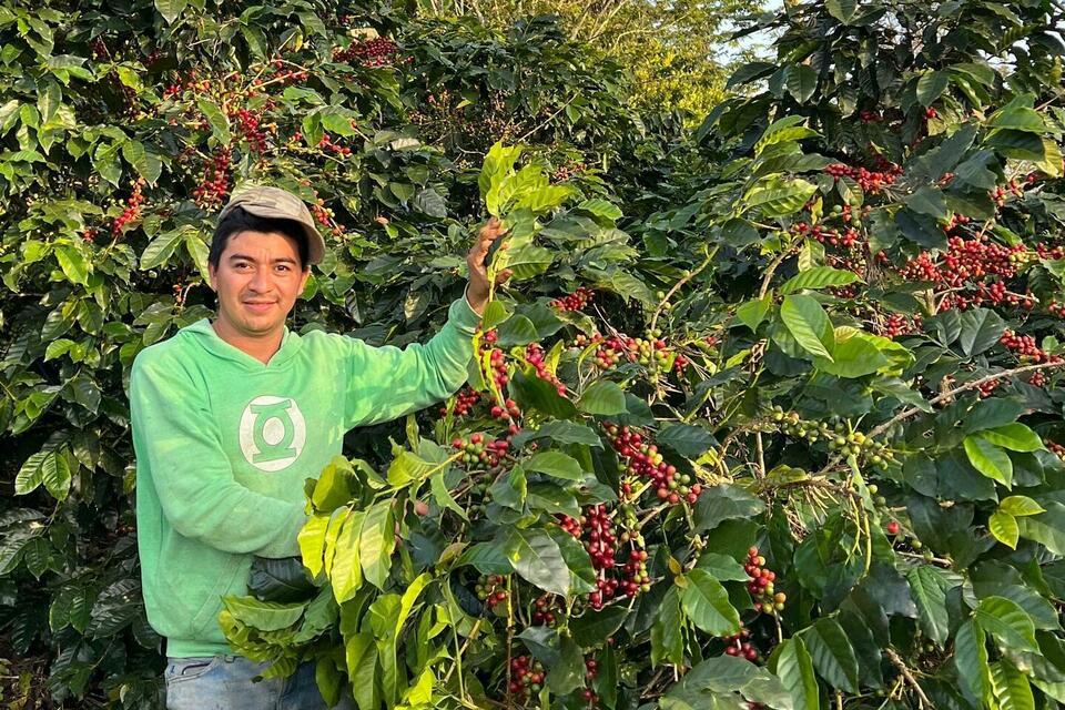 Climate Resilience Platform guides food industry sourcing - Annual Report 2025 - Alliance Bioversity International - CIAT