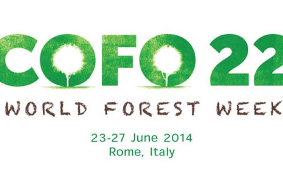 Explore the importance of the world's forests in Rome, Italy